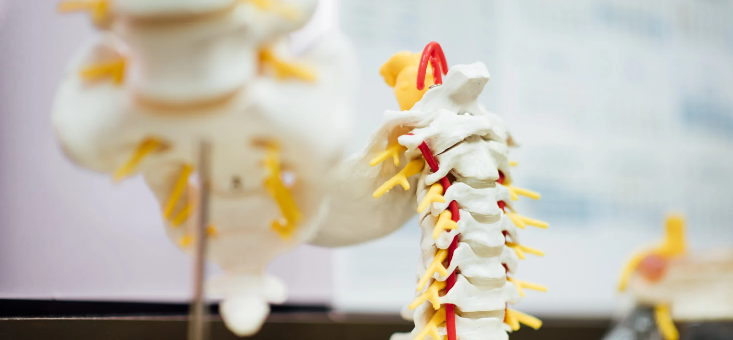 Our chiropractic adjustment techniques